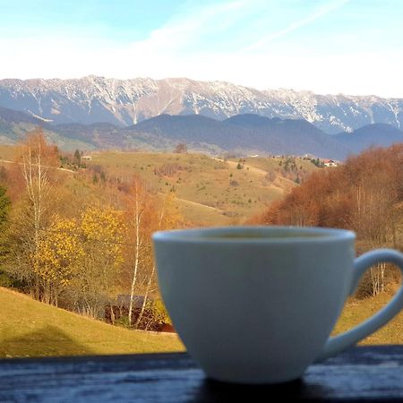 La Kaifas Villa Fundata Dış mekan fotoğraf